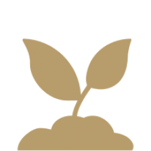 Environmental sustainability